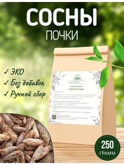 Почки сосны сушеные