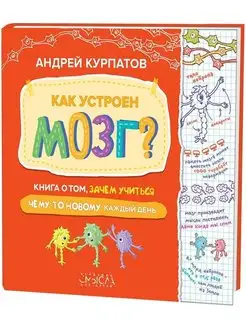 А. Курпатов. Книга "Как устроен мозг?"