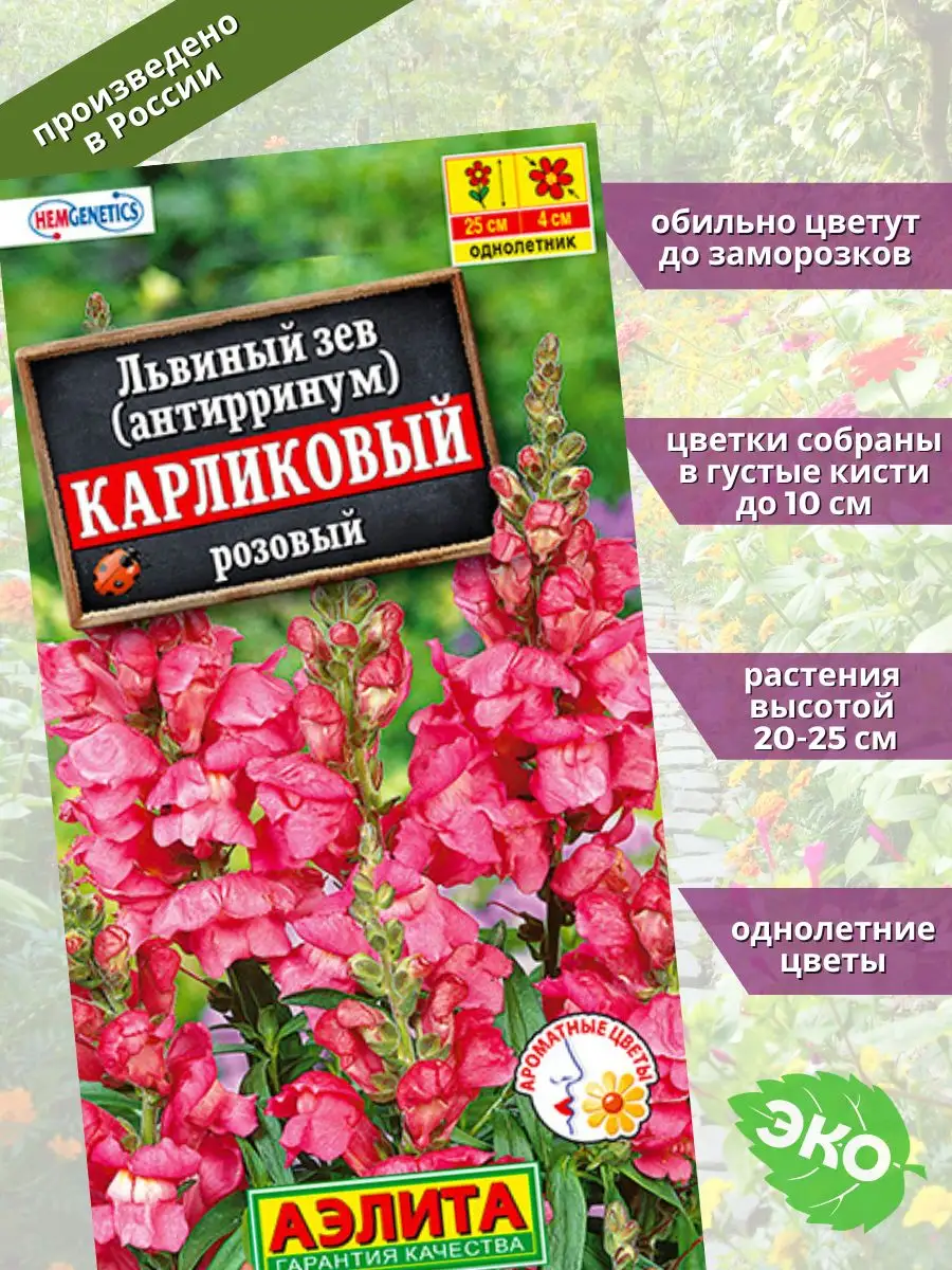 Львиный зев карликовый Агрофирма Аэлита 132998699 купить за 90 ₽ в интернет-магазине Wildberries