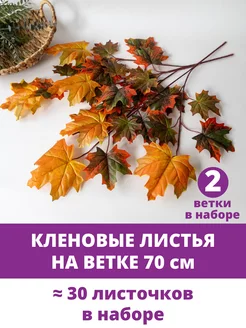 Листья клена и ветки, осенний декор