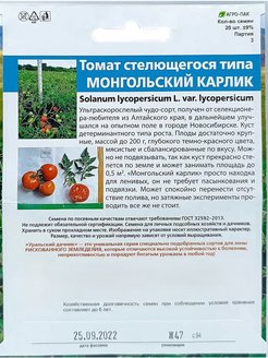 Томаты монгольский карлик схема посадки