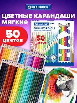 Набор цветных карандашей для рисования супермягкие 50 цветов Brauberg 133836779 купить за 523 ₽ в интернет-магазине Wildberries