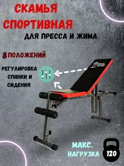 Скамья для жима и пресса спортивная