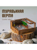 Dark Mini бренд MM Wood продавец Продавец № 510873