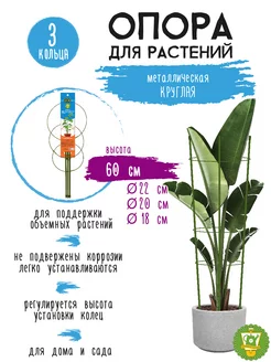 Опора для растений круглая (3 кольца) металл h60см