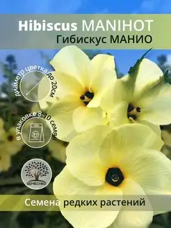 Семена цветов Гибискус МАНИО