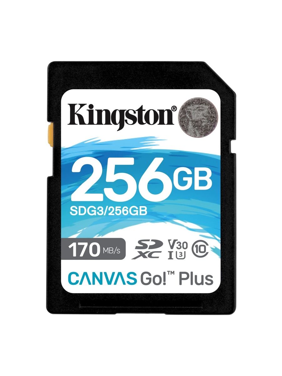 Карта памяти kingston canvas go plus sdxc 128 гб