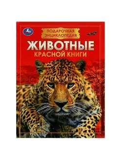 Детская энциклопедия развивающая Животные Красной книги