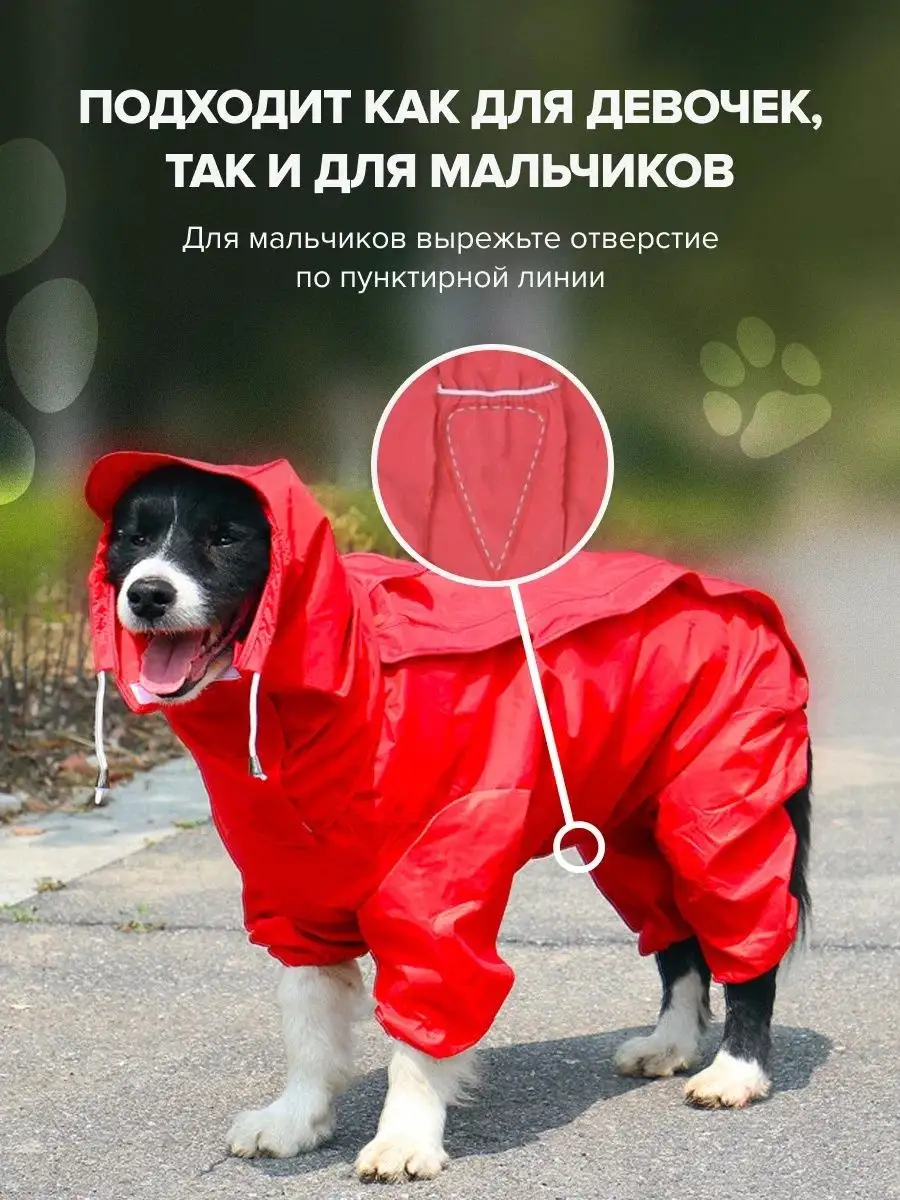 Одежда и амуниция для собак оптом в ZooTrend
