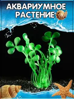 Растения для аквариума аквариумистика аквариумные растения