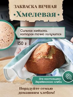 Закваска для хлеба Вечная, смесь 150гр PolyFood 135625404 купить за 306 ₽ в интернет-магазине Wildberries