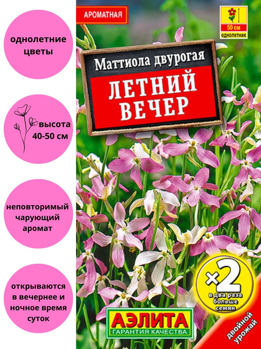 Цветы маттиола двурогая