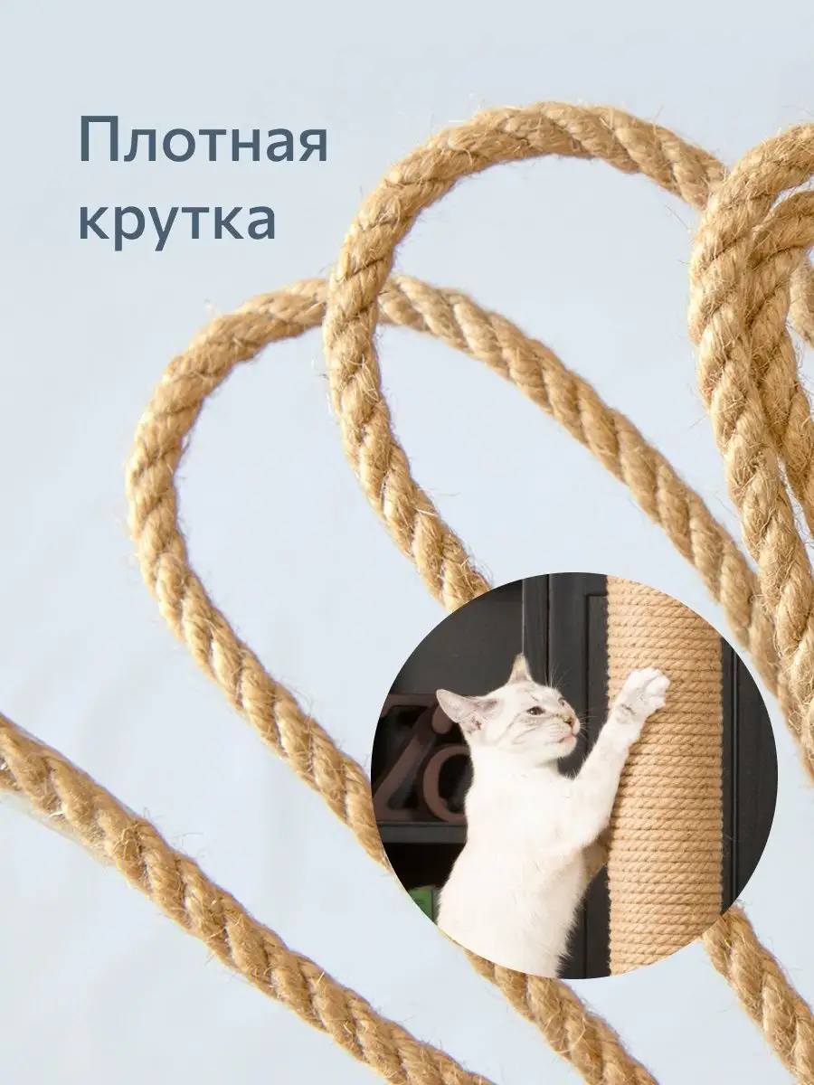 Котик на шпагате: Волочкова, Решетова, Тейлор и другие звезды, обожающие котов