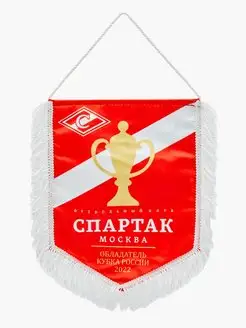 Вымпел Большой Кубок'22