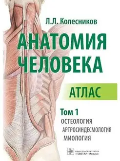 Анатомия человека. Атлас. Т. 1. Остеология, артросиндесмолог