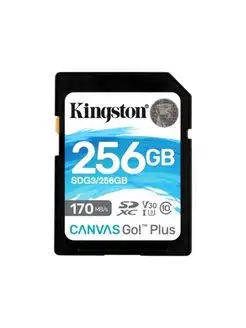 Карта памяти, SDG3 256GB, SD 256GB, Canvas Go Plus