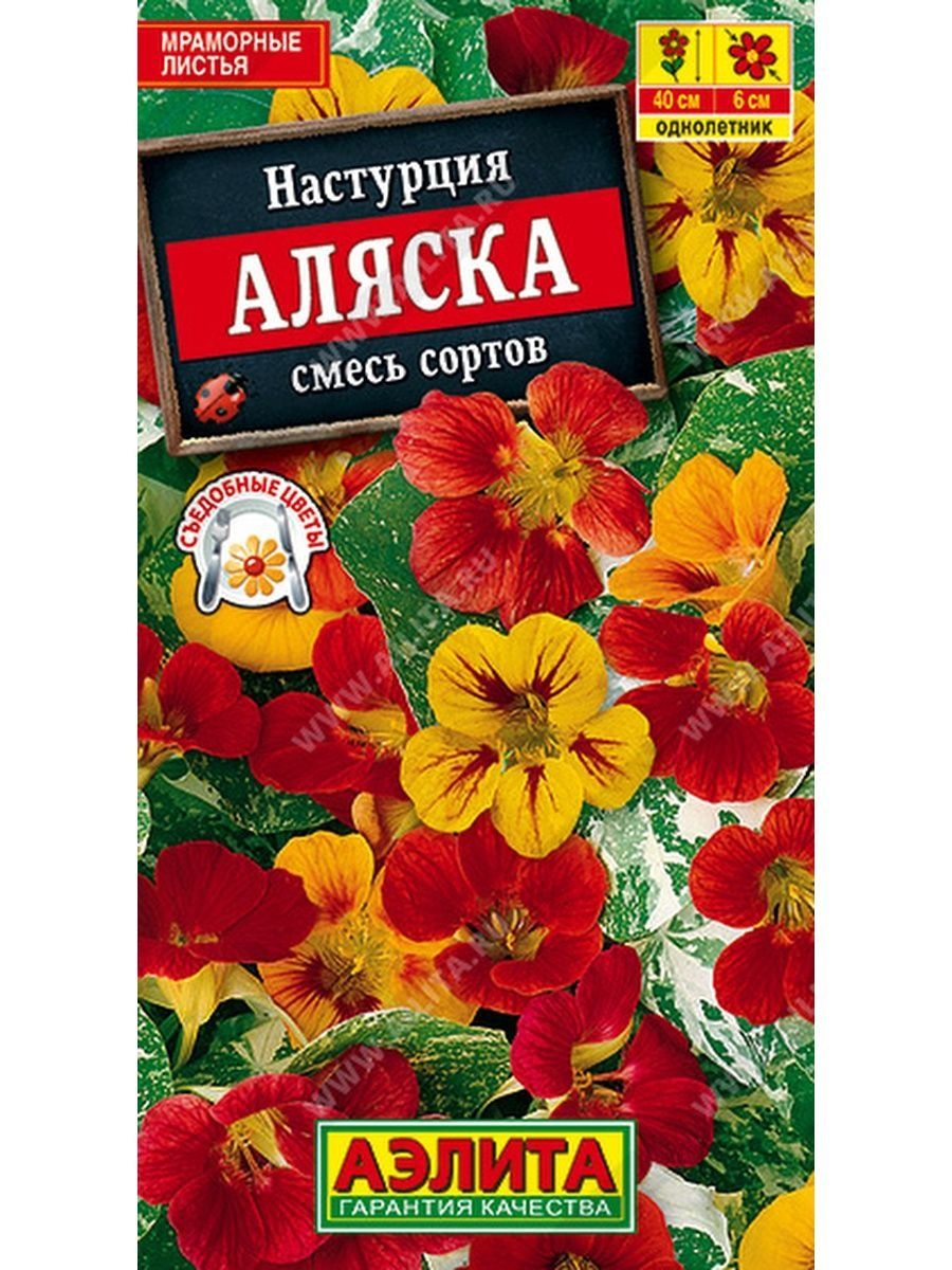 Настурция смесь аляска фото