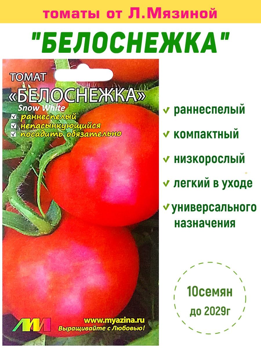 Семена белоснежка. Семена томата Белоснежка. Томаты Мязиной. Сорт помидоров Белоснежка. Томат Белоснежка характеристика.