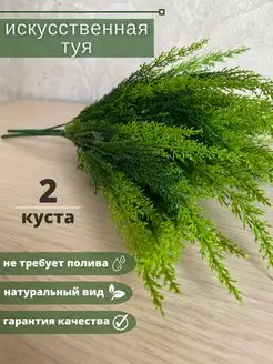 туя ель еловая ветка ветки для декора