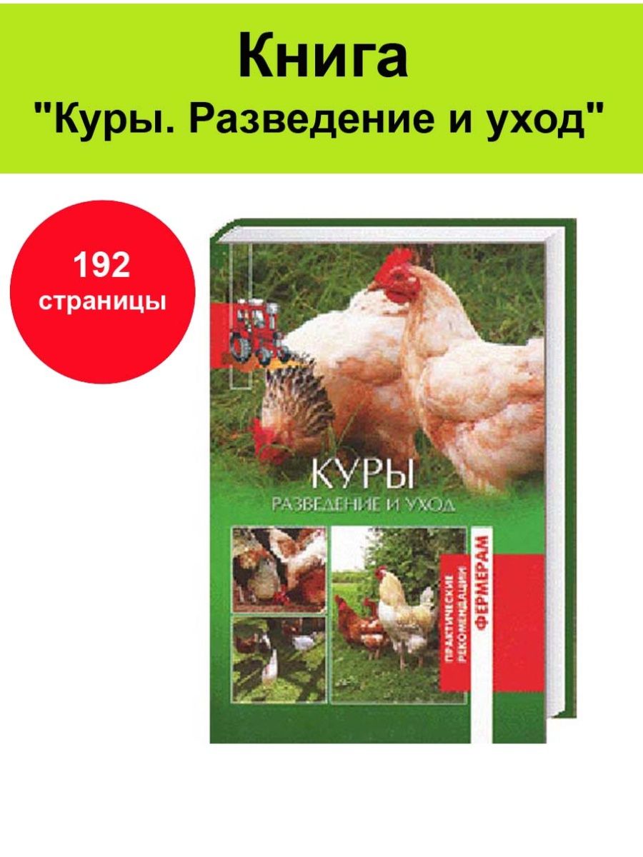 Куры книги