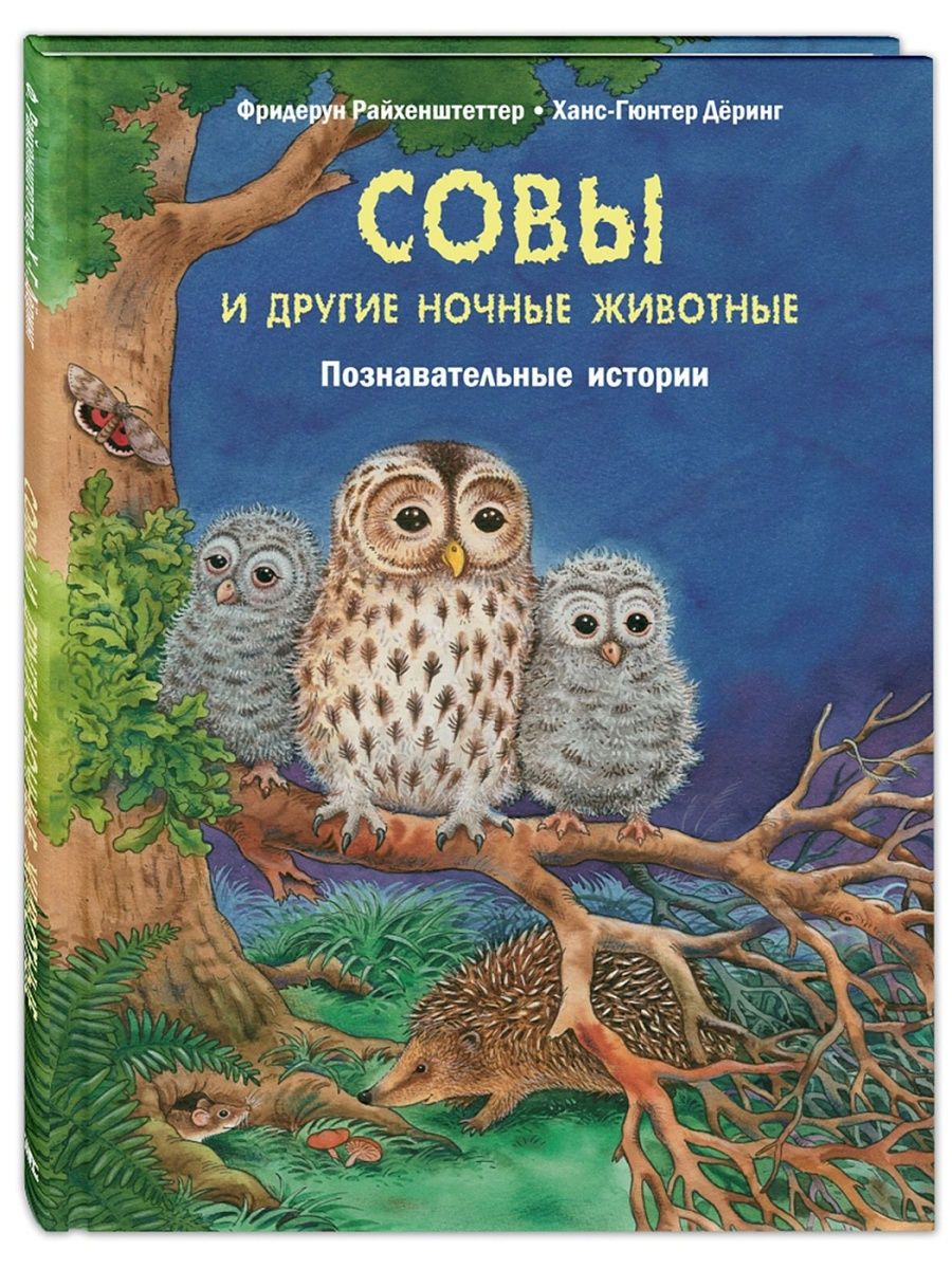 Сова книги запускать