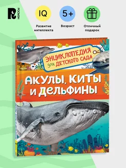 Акулы, киты и дельфины. Энциклопедия для детского сада 5+