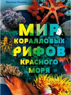 Познаем мир вокруг нас книги для детей Мир Красного моря