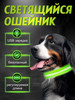 Светящийся ошейник для собак бренд WELHOME PET продавец Продавец № 306705