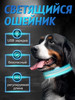 Светящийся ошейник для собак бренд WELHOME PET продавец Продавец № 306705