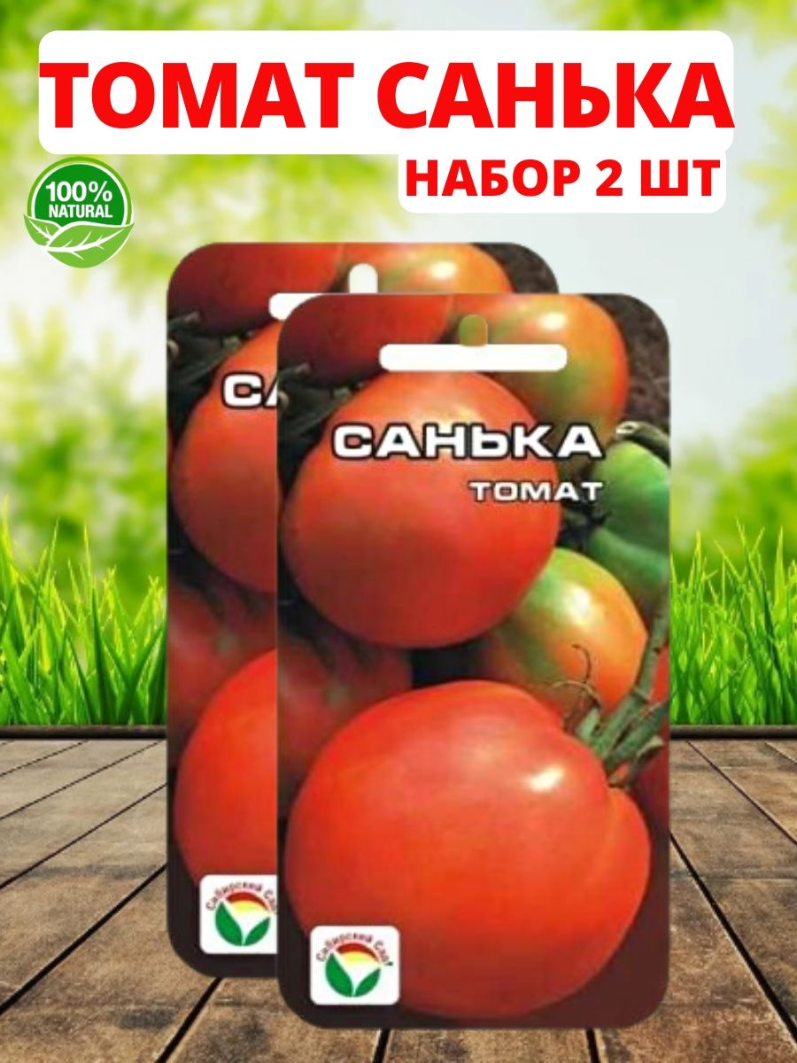 помидоры санька фото