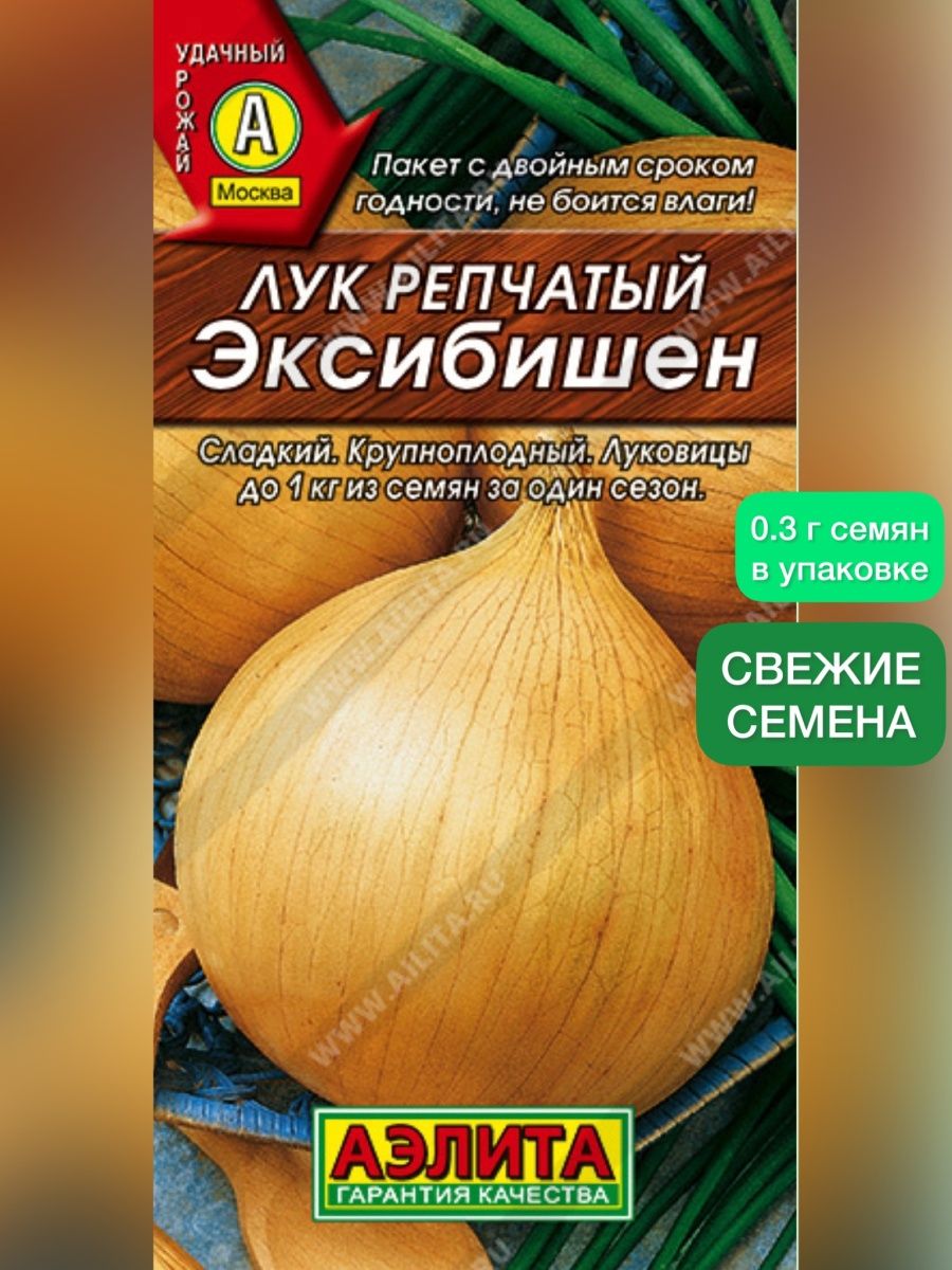 Лук репчатый эксибишен