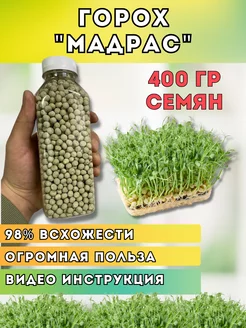 Семена гороха для проращивания микрозелени