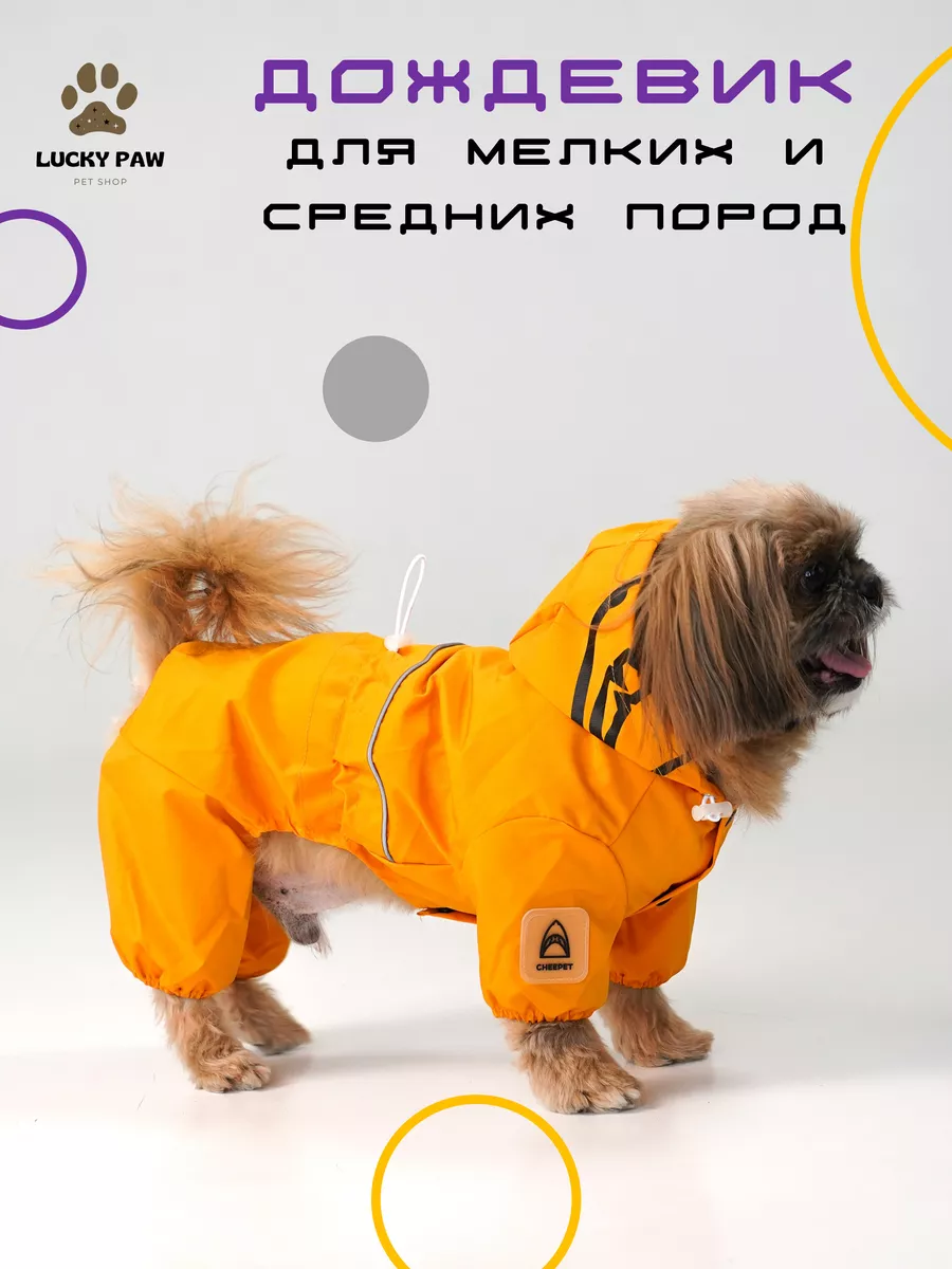 ПЕС И КОТ - ОДЕЖДА для собак и котов. Беларусь