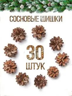 Хвойные сосновые шишки для поделок 30