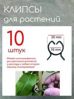 Клипсы для комнатных растений, держатели вьющихся 10 шт