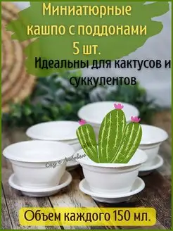 5 мини кашпо для кактусов, фиалок, суккулентов с поддоном