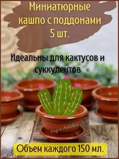 5 мини кашпо для кактусов, фиалок, суккулентов с поддоном