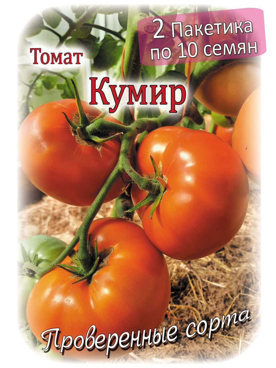 Томат кумир. Томаты кумир и новичок.