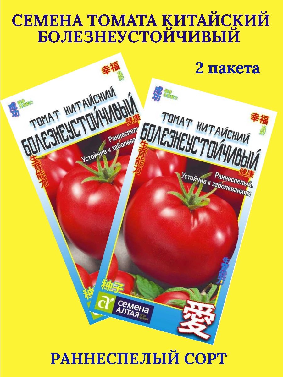 Помидоры китаец. Томат китайский холодоустойчивый. Помидоры китайский болезнеустойчивый. Томат китайский ранний. Сорт помидор китайские.