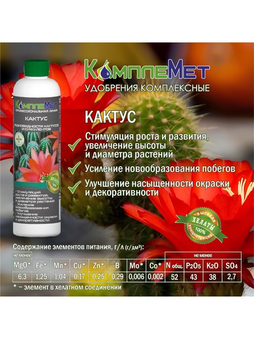 Кактус 400