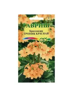 Семена цветов Кроссандра "Тропик красная", 3 шт