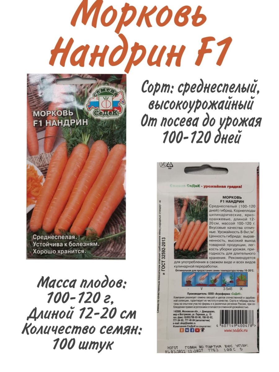 Морковь нандрин. Нандрин морковь описание. Морковь Нандрин характеристика и описание. Морковка Нантская внутри.
