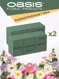 Флористическая губка пена для цветов Оазис Классик 2 шт