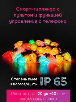 Уличная Светодиодная гирлянда RGB с WiFi+Bluetooth