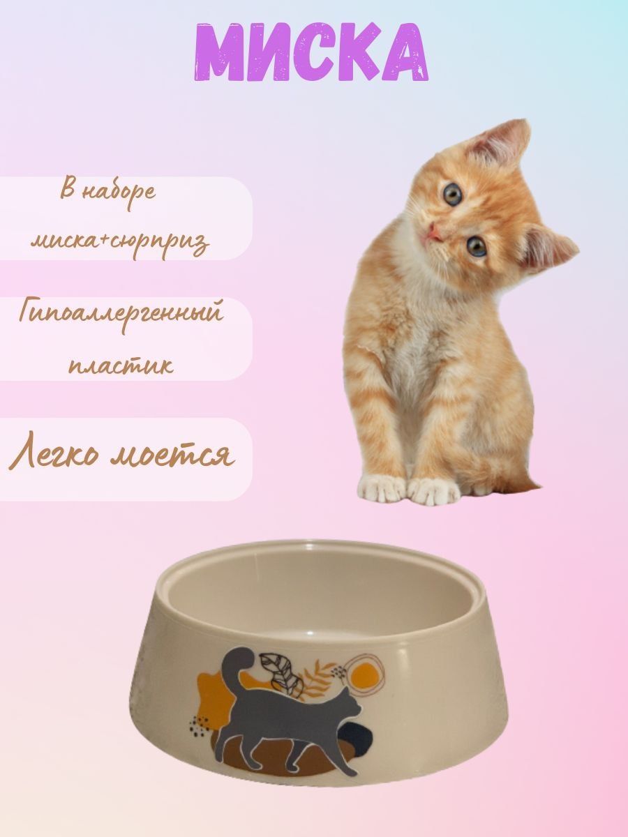 Миска рис и кошка жена