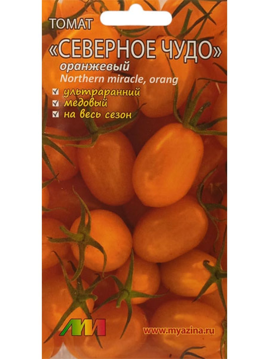 Томат Северное чудо оранжевое
