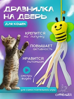 Игрушка для кошек пружинка