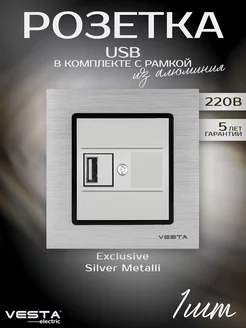 Розетка Silver Metallic USB