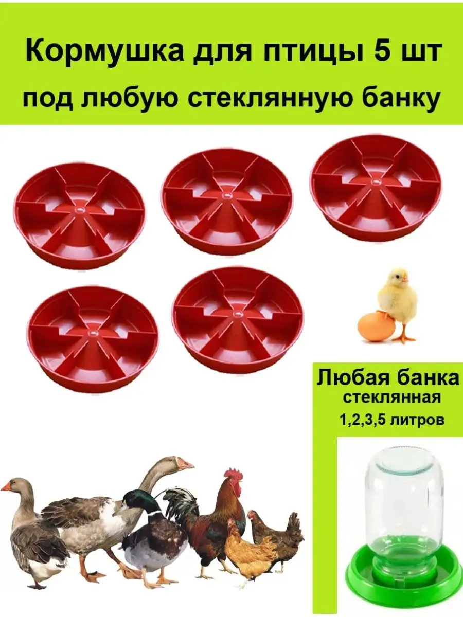Основные виды кормушек для цыплят бройлеров