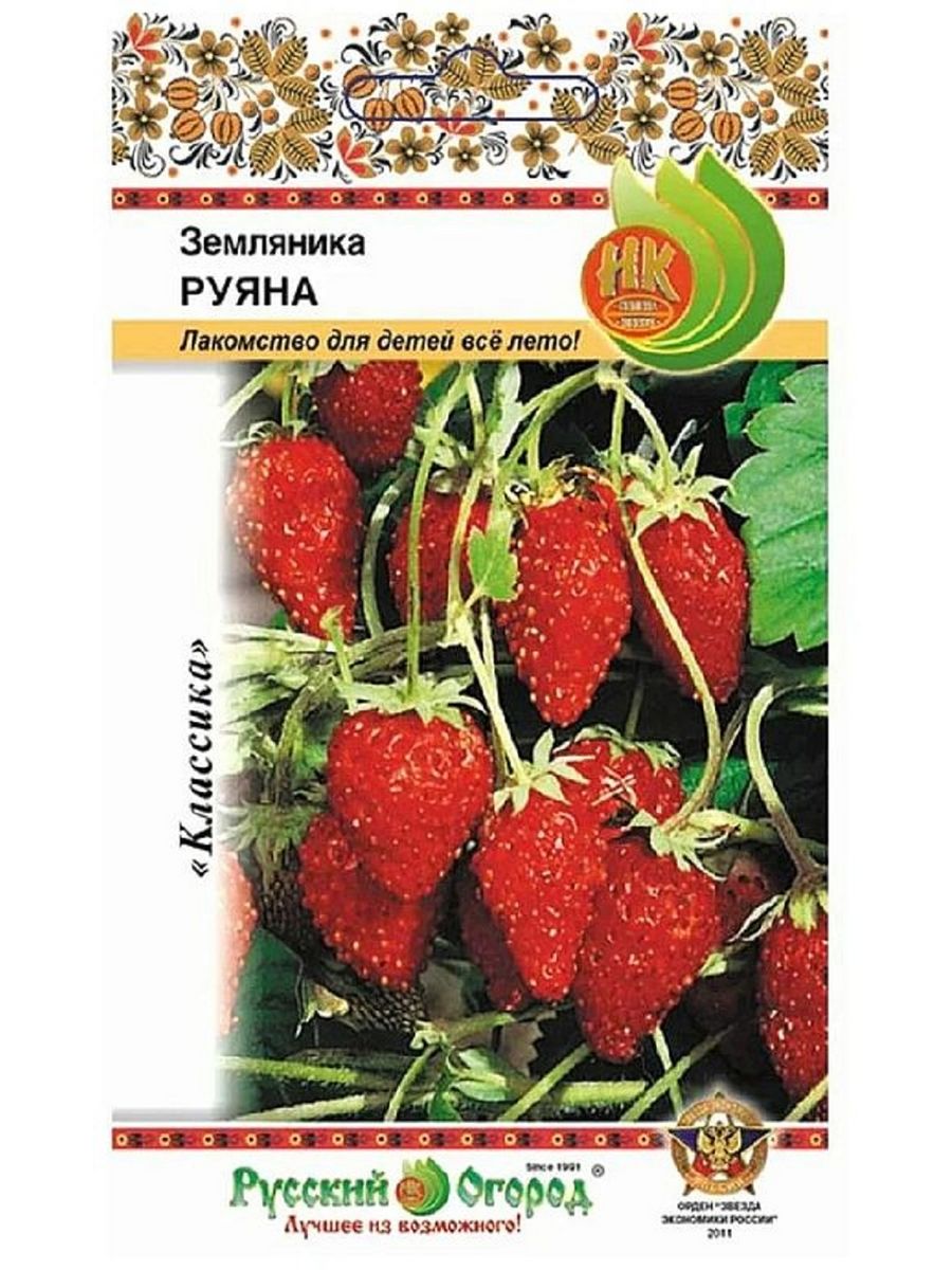 Земляника ремонтантная Александрия. Земляника Руяна. Клубника. Клубника ремонтантная крупная.